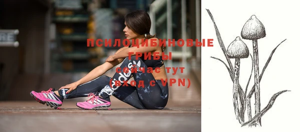 соль ск Михайловка