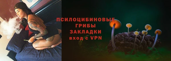 соль ск Михайловка