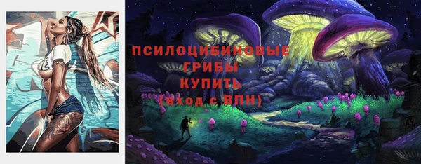 соль ск Михайловка