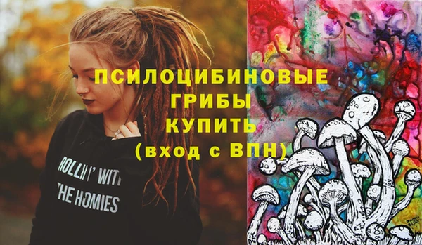 стафф Каменка