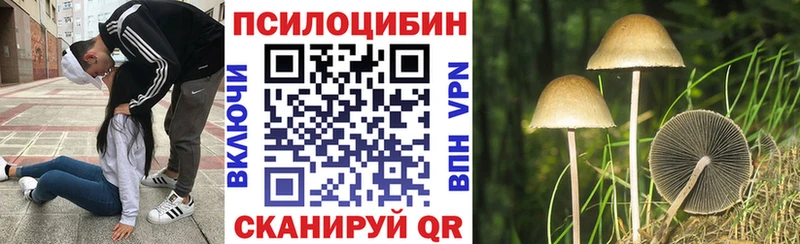 Псилоцибиновые грибы Psilocybe  MEGA ТОР  Новоуральск 