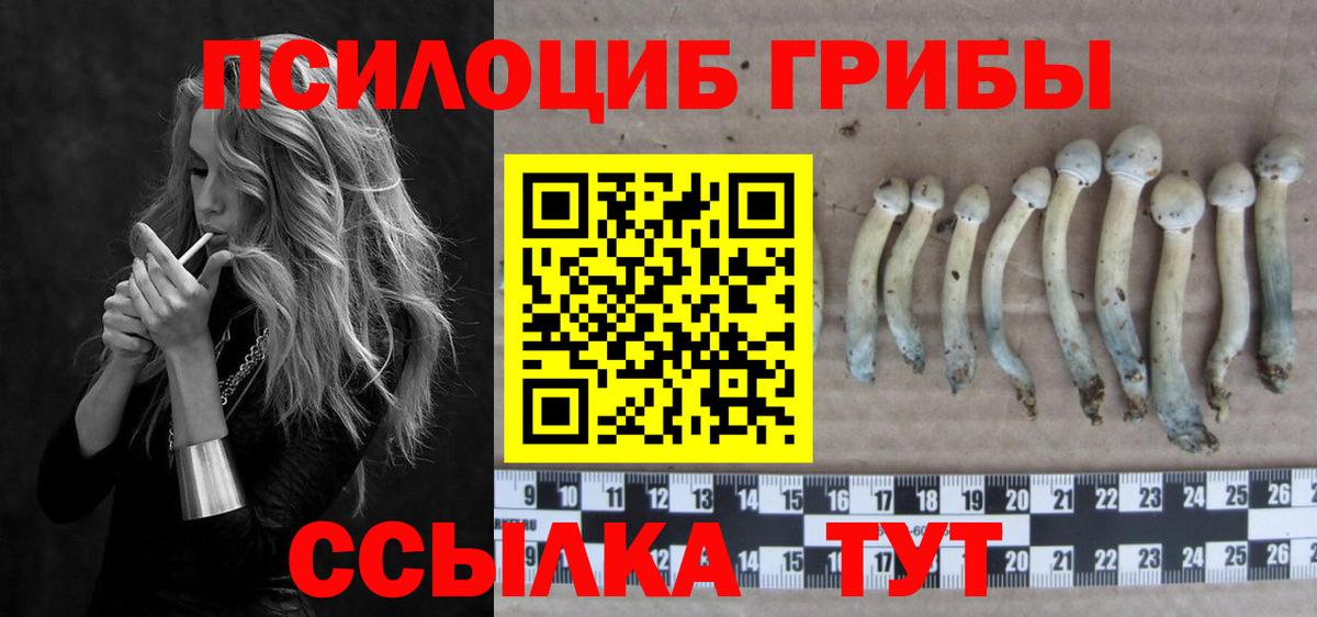 Новоуральск  Псилоцибиновые грибы GOLDEN TEACHER  Псилоцибиновые грибы мицелий  Вход с VPN 